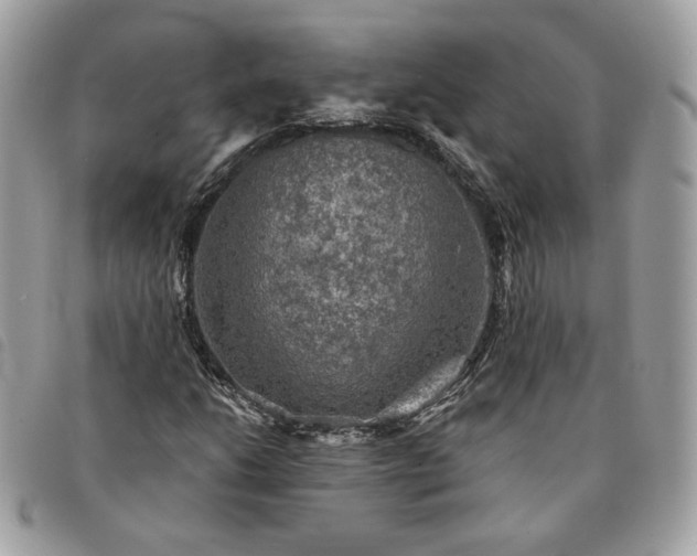 X0000091291206200708171337