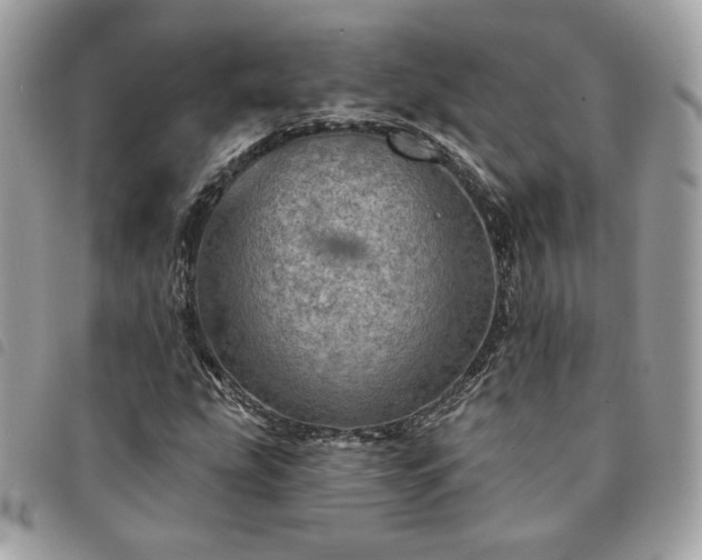 X0000091291207200708171337