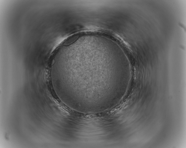 X0000091291208200708171337