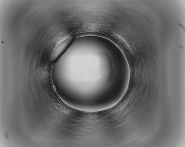 X0000091291210200708171337