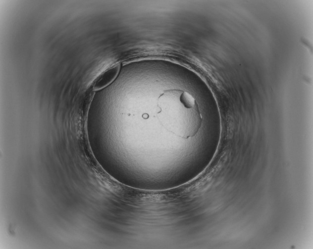 X0000091291211200708171337