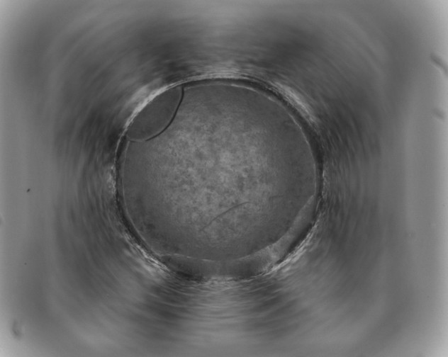 X0000091291212200708171337