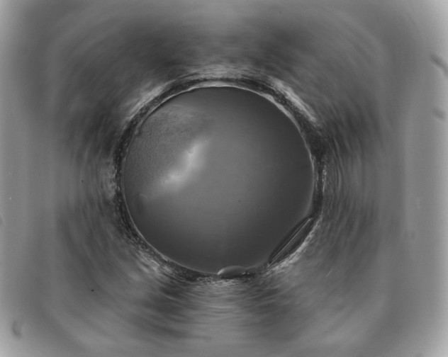 X0000091291213200708171337