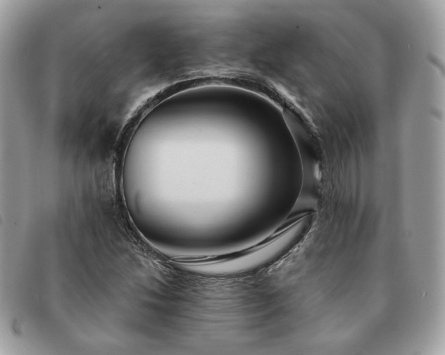 X0000091291214200708171337