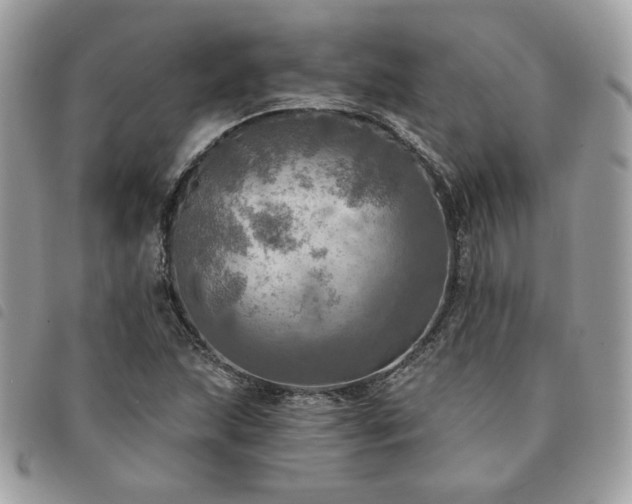 X0000091291215200708171337