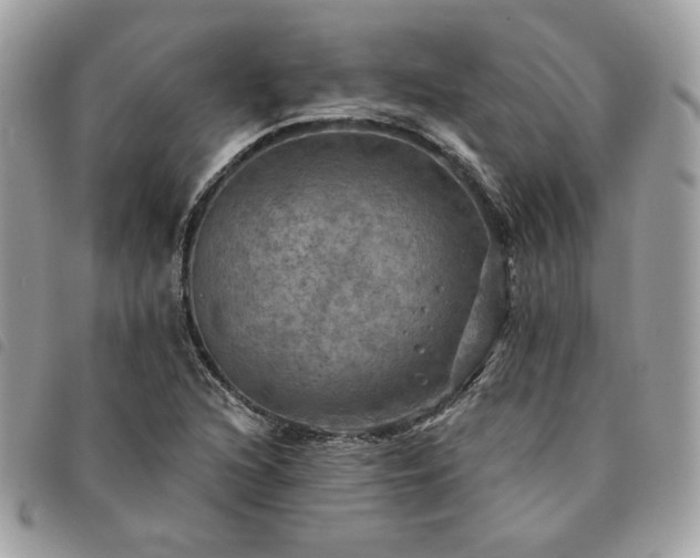 X0000091291216200708171337