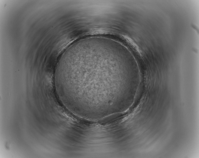 X0000091291217200708171337