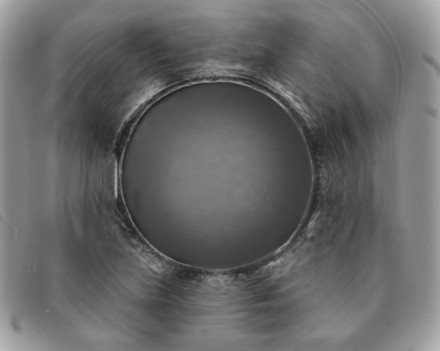 X0000091291219200708171337