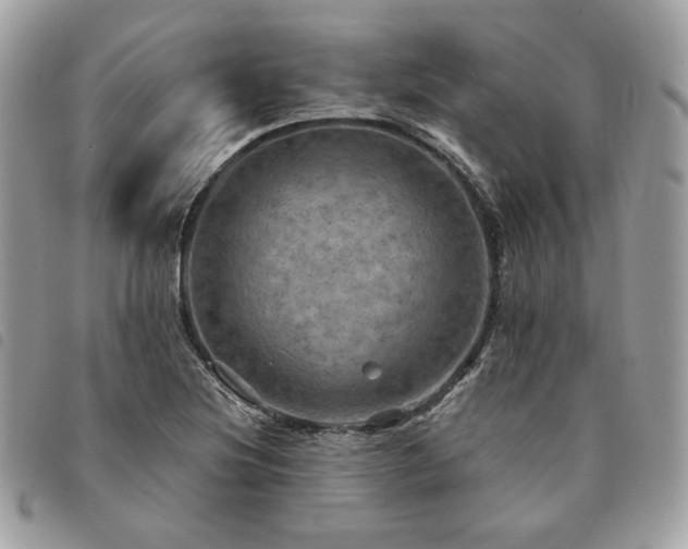 X0000091291220200708171337