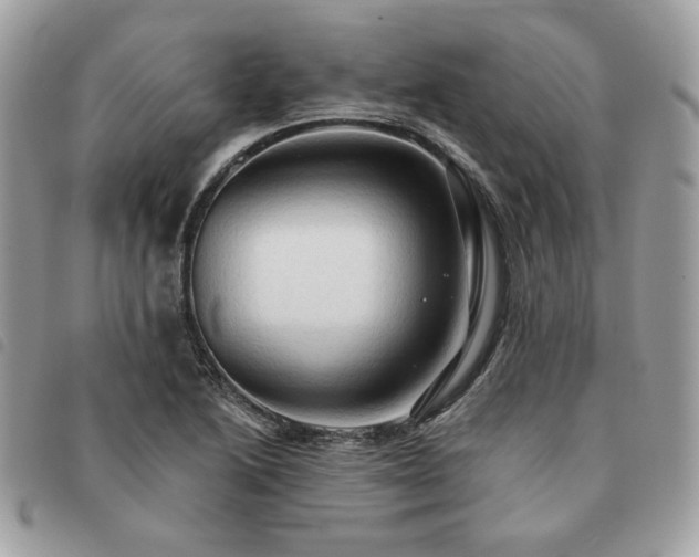 X0000091291222200708171337