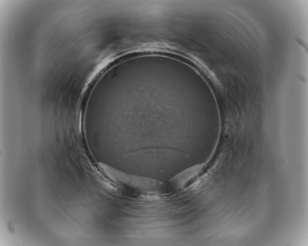 X0000091291224200708171337