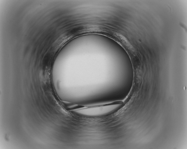 X0000091291225200708171337