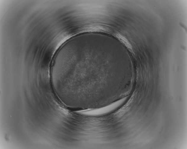 X0000091291226200708171337