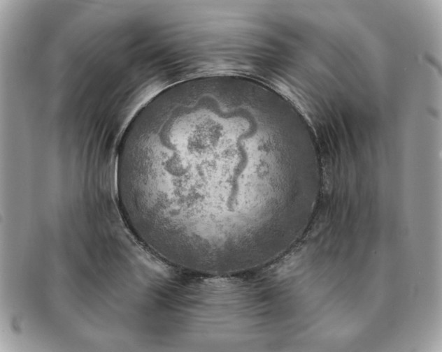 X0000091291227200708171337