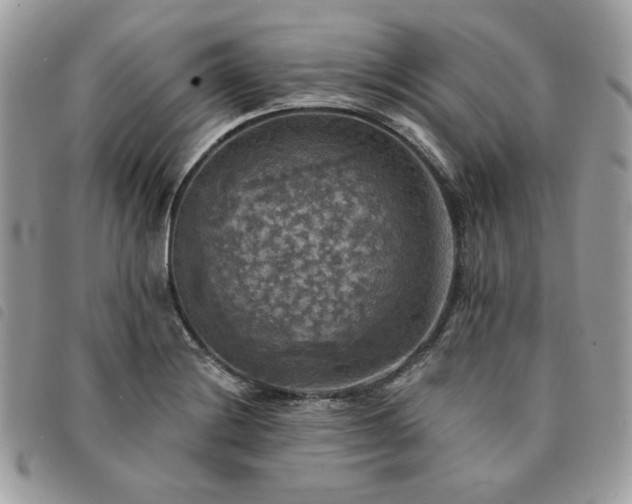 X0000091291228200708171337