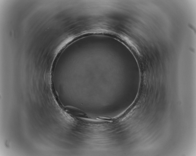 X0000091291229200708171337