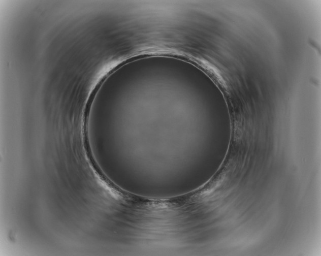 X0000091291231200708171337