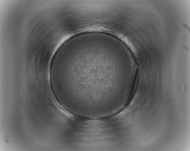 X0000091291232200708171338