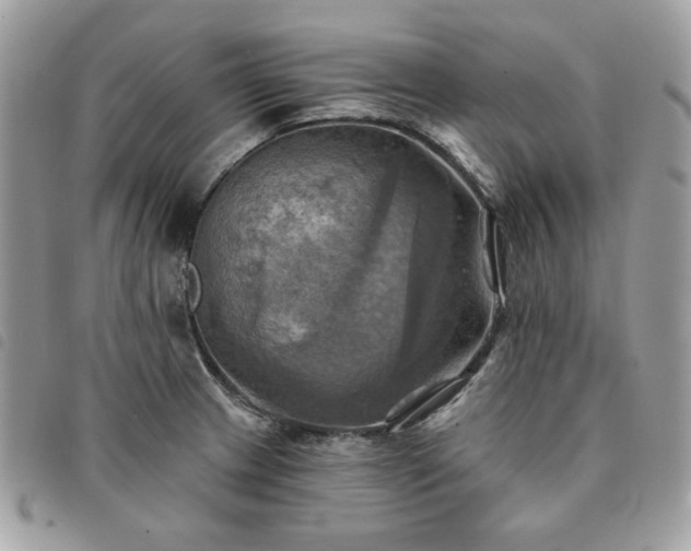 X0000091291233200708171338