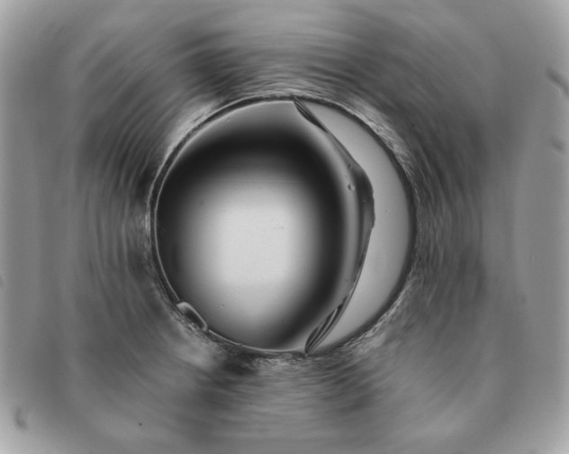 X0000091291234200708171338