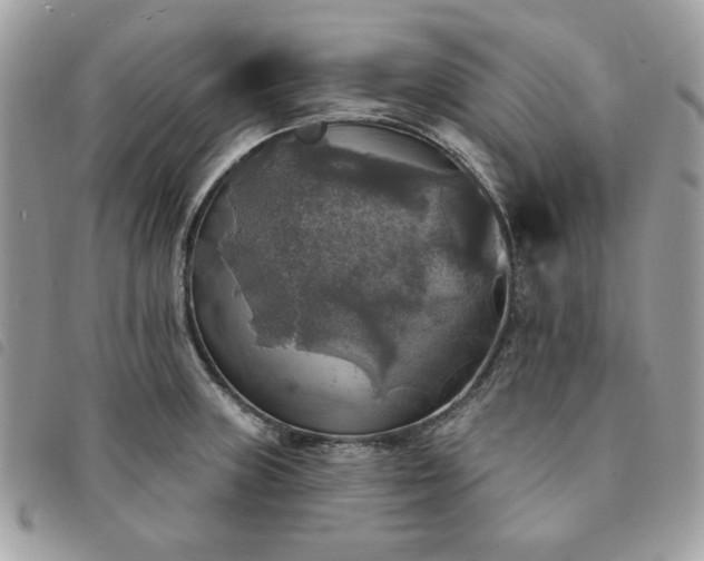 X0000091291235200708171338