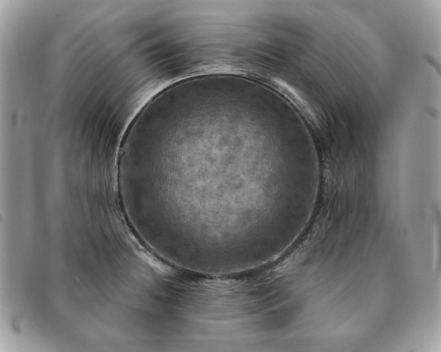 X0000091291236200708171338