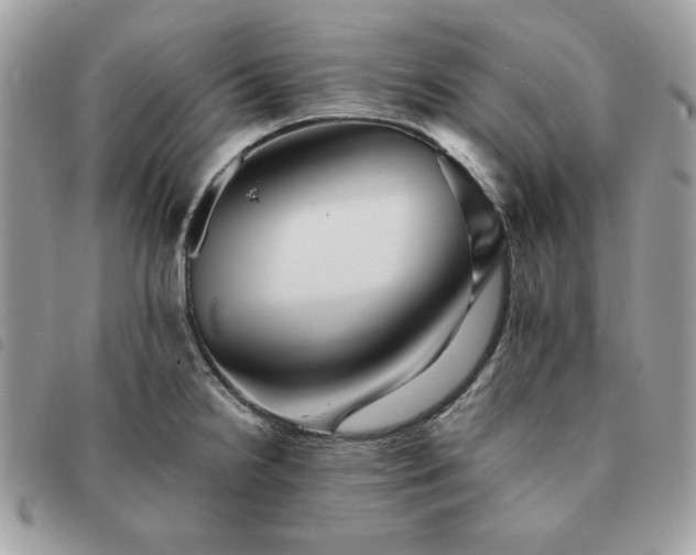 X0000091291238200708171338