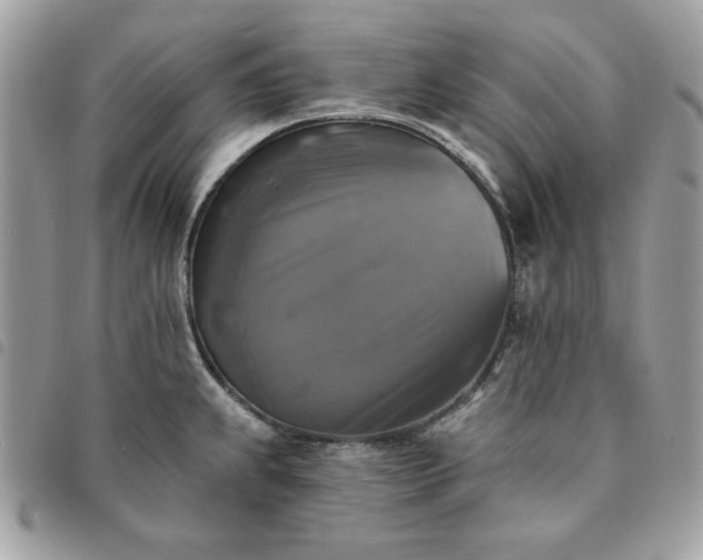 X0000091291239200708171338