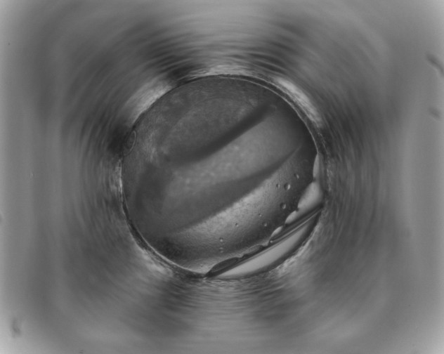 X0000091291241200708171338