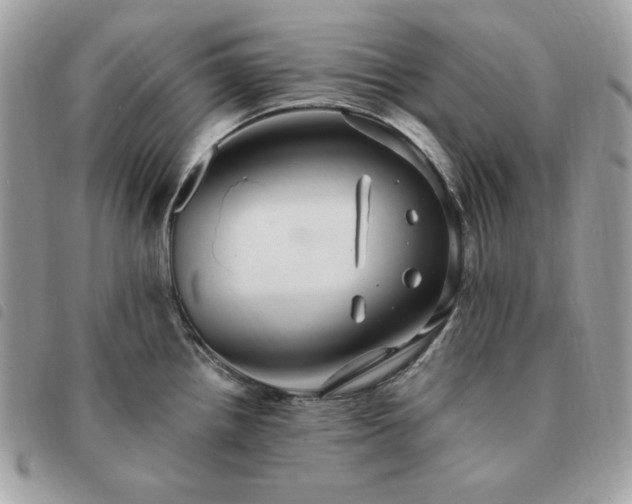 X0000091291242200708171338