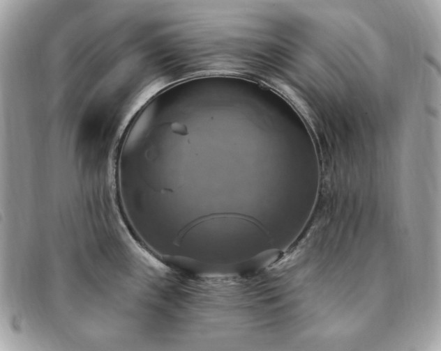 X0000091291243200708171338