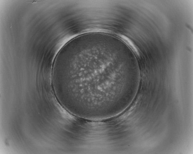 X0000091291244200708171338