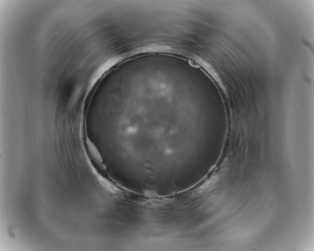 X0000091291245200708171338