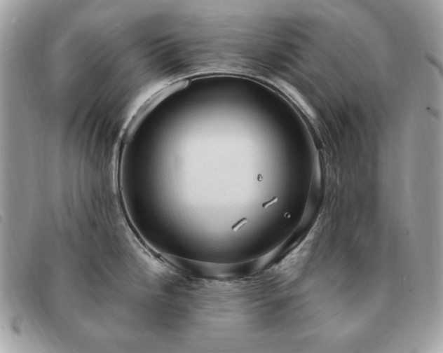 X0000091291246200708171338