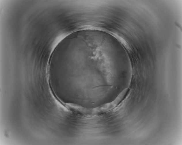 X0000091291247200708171338