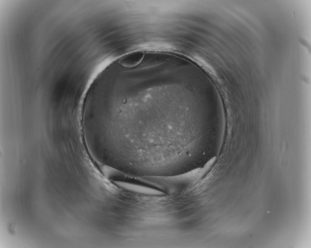 X0000091291248200708171338