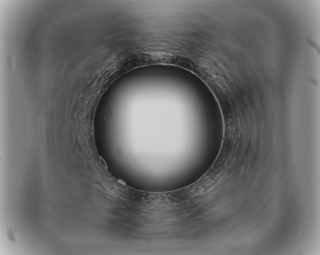 X0000091291249200708171337