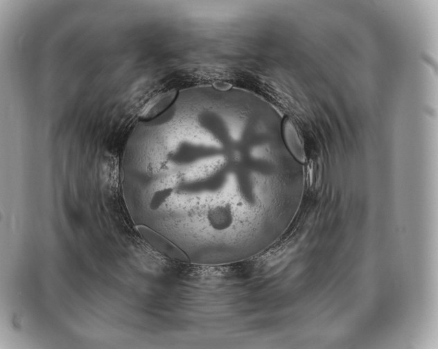 X0000091291251200708171337