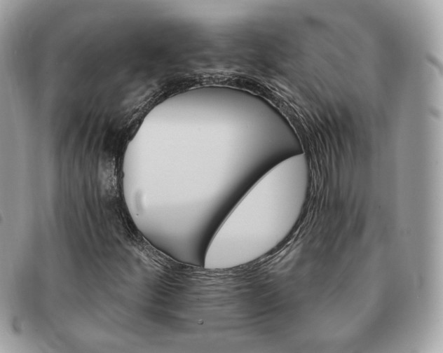 X0000091291252200708171337