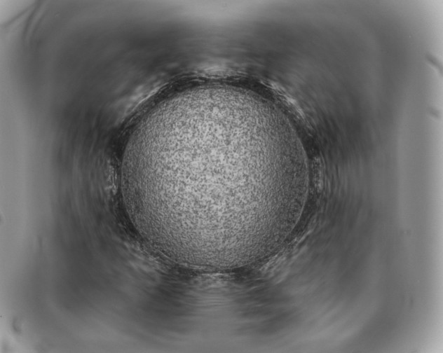 X0000091291253200708171337