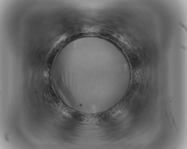 X0000091291254200708171337