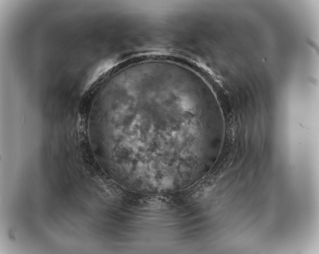 X0000091291255200708171337