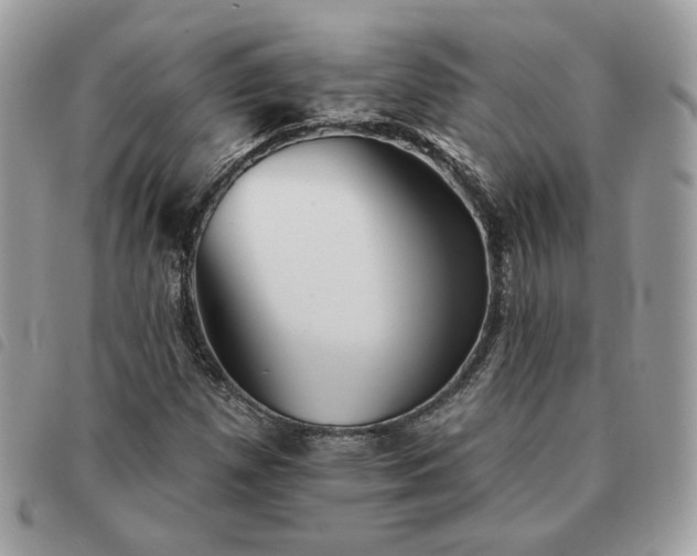 X0000091291257200708171337