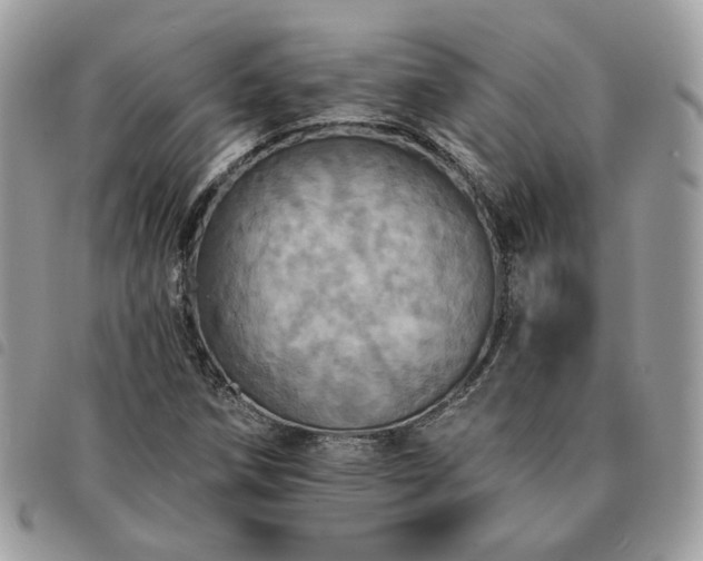 X0000091291258200708171337