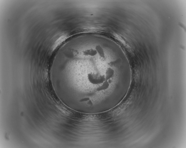 X0000091291259200708171337