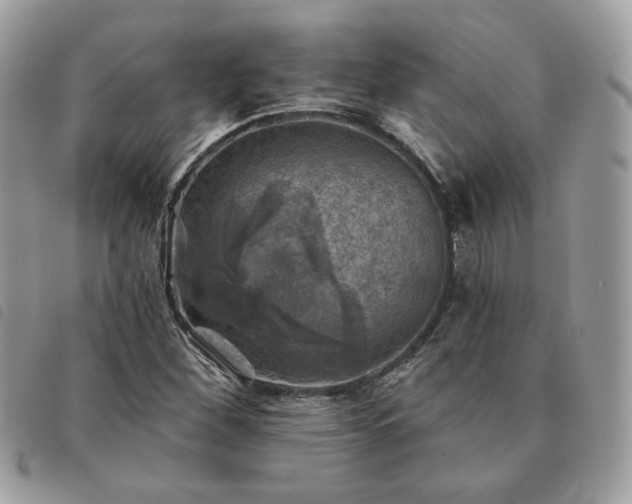 X0000091291260200708171337