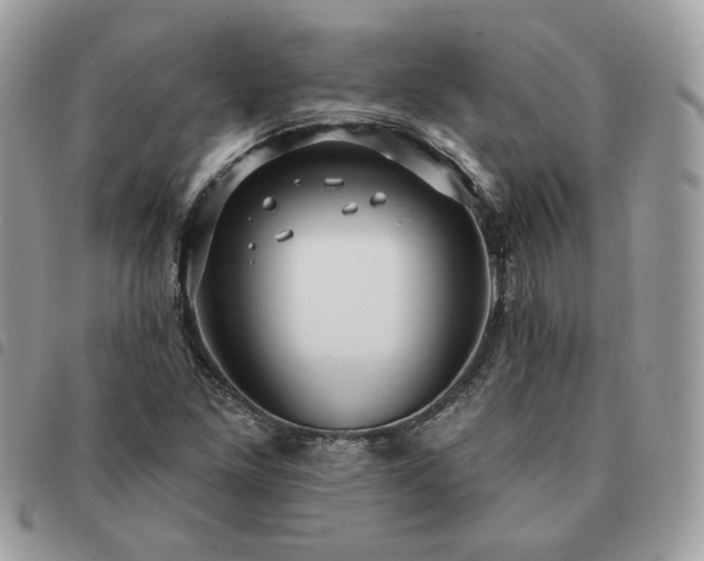 X0000091291261200708171337