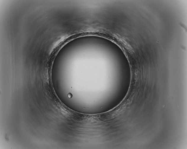 X0000091291262200708171337