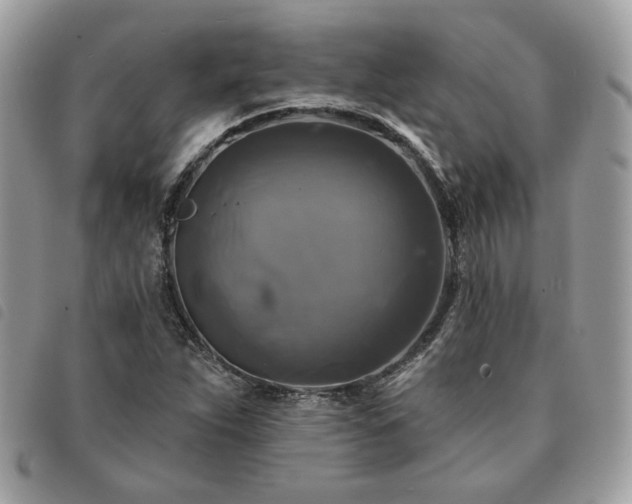 X0000091291263200708171337