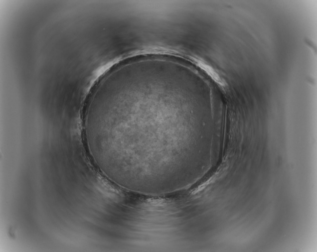 X0000091291264200708171337